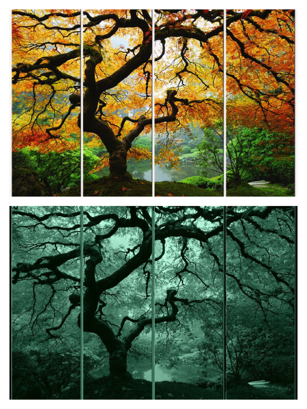 Amazing Maple Set of 4 Canvas Wall Art, 5 Stars Gift 47.2 X 63 Inch Startonight -- GLOWS IN THE DARK -- $299 + Free Shipping